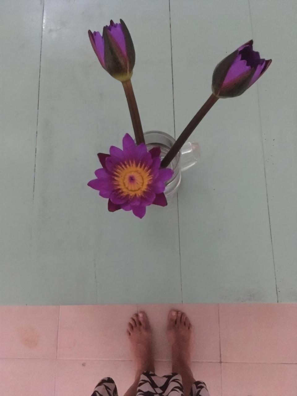 Хостел Layback Boutique Surf & Yoga Camp Sri Lanka Велигама Экстерьер фото