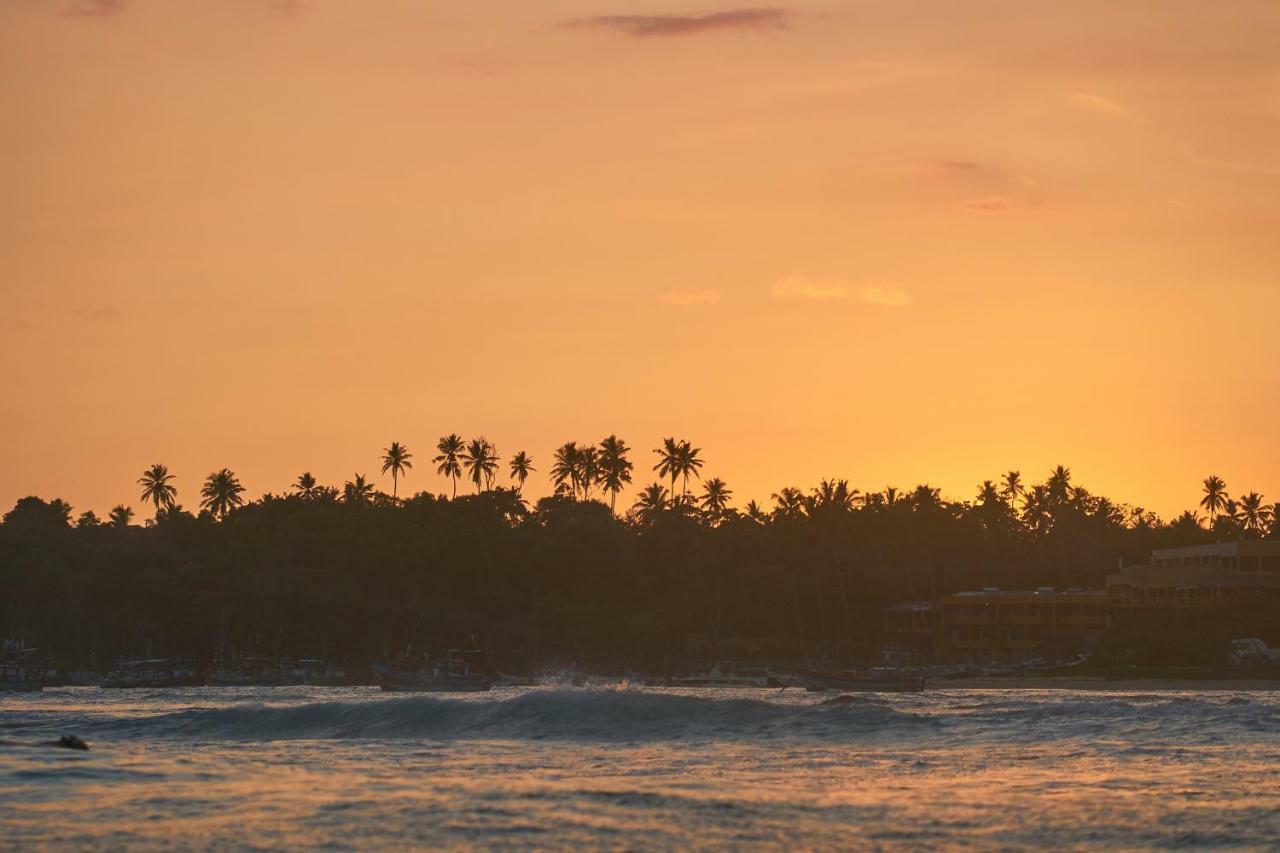 Хостел Layback Boutique Surf & Yoga Camp Sri Lanka Велигама Экстерьер фото