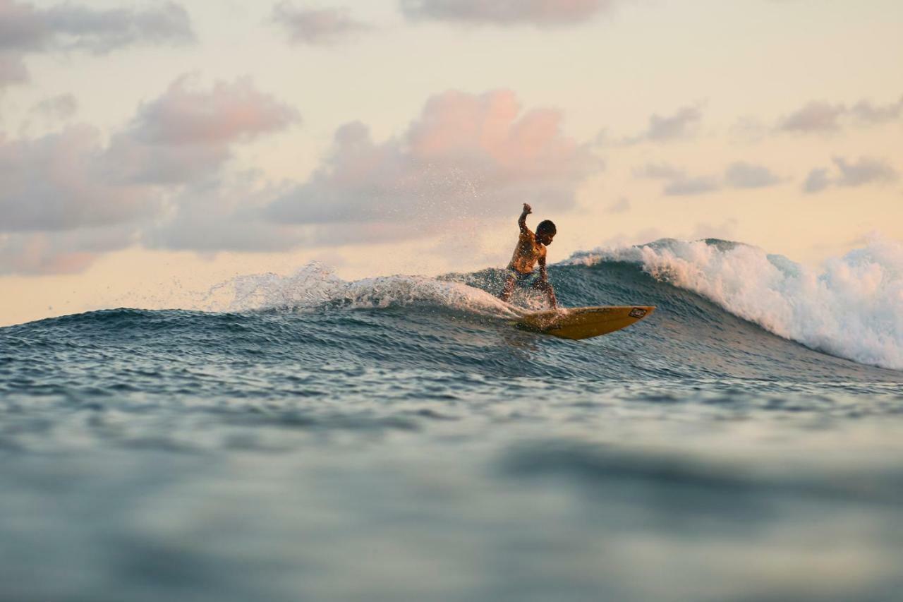 Хостел Layback Boutique Surf & Yoga Camp Sri Lanka Велигама Экстерьер фото